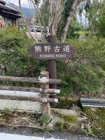 ゲストハウスの近くで見られる自然の景観