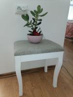 a plant sitting on top of a white stool at Flowers Apartment Tuzla in Tuzla
