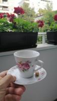 a person holding a cup on a saucer with a cookie at Flowers Apartment Tuzla in Tuzla