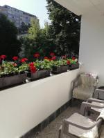 a window with flowers in pots on a balcony at Flowers Apartment Tuzla in Tuzla