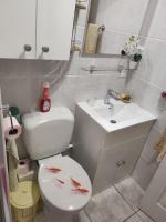 a bathroom with a toilet and a sink with fish painted on it at Charmant appartement à Sainte Marie la mer (66470) in Sainte-Marie-Plage