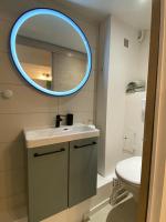 a bathroom with a sink and a mirror at Cosy Green - WIFI HD - NETFLIX GRATUIT in Avignon