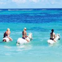 three women in the ocean riding horses in the ocean at 120 m2 bord de mer in Saint Martin