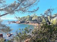 Blick auf einen Strand mit Bäumen und Wasser in der Unterkunft 2 pièces Saint Raphael rénové, classé 4 étoiles, 100 m plages, piscine, tennis, parc, terrasse, jardin privatif in Saint-Raphaël