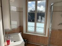 a bathroom with a sink and a window and a shower at La cabine d&#39;Amélie in Veules-les-Roses