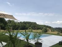 a swimming pool with two potted plants and an umbrella at Gîte Belmont-de-la-Loire, 4 pièces, 5 personnes - FR-1-496-126 in Belmont-de-la-Loire