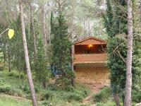 a wooden cabin in the middle of a forest at Moli l&#39;Abad in Puebla de Benifasar