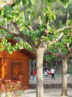 a group of people playing in a park with trees at Moli l&#39;Abad in Puebla de Benifasar