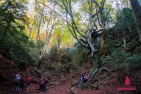 a group of people walking on a forest trail at Moli l&#39;Abad in Puebla de Benifasar