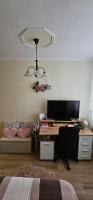 A television and/or entertainment centre at ANNA GYÖNGYE APARTMAN DEBRECEN