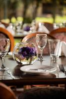 Jídlo v hotelu nebo okolí