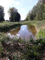 a small pond in the middle of a field at L&#39;Atelier à l&#39;orée des bois in Saint-Pierre-sur-Dives