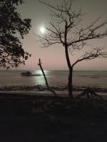 a cross sitting next to a tree on the beach at Pousada São Francisco in Cumuruxatiba