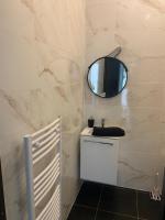 a bathroom with a sink and a mirror on the wall at Jolie maisonnette avec terrasse Nancy centre in Nancy