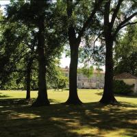 a group of trees in a field in front of a building at Beautiful riverside boathouse in Bourg-Charente