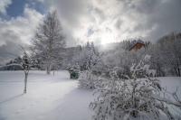Obiekt Les Griottes, véritable chalet de montagne, avec Jacuzzi et Sauna zimą