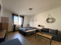 Posezení v ubytování Černá Růže - Apartmán 4