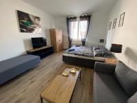 TV a/nebo společenská místnost v ubytování Černá Růže - Apartmán 4