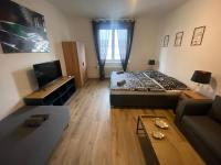 TV a/nebo společenská místnost v ubytování Černá Růže - Apartmán 4