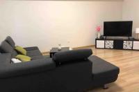TV a/nebo společenská místnost v ubytování Ubytování v podzámčí