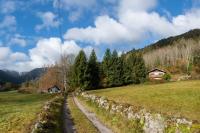 a dirt road in a field with houses and trees at L&#39;Orée des Étoiles dans la Vallée de Munster in Stosswihr