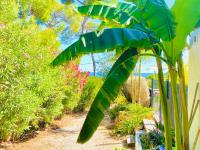 Vonkajšia záhrada v ubytovaní Villa Mediterranea