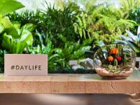 Ein Garten an der Unterkunft 1 Hotel South Beach