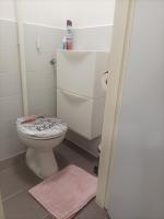 a bathroom with a toilet and a pink rug at Fenix studio apartment, Zagreb in Zagreb