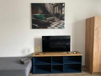 TV a/nebo společenská místnost v ubytování Černá Růže - Apartmán 4