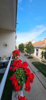 A garden outside ANNA GYÖNGYE APARTMAN DEBRECEN