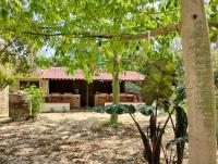 a view of a house from under a tree at Hotel y Museo Aldea Maya Toktli Orígenes - Casa Maya Toh - Alberca, Wifi Starlink, Tour Museo in Izamal