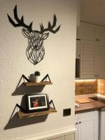 a picture of a deer head on the wall in a kitchen at Bleuets II in Sainte-Léocadie