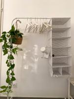 a white room with a shelf and a plant at Appartement terrasse proche Centre in Montpellier