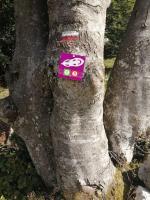 a pink sign on the side of a tree at petit nid montagnard in Rousset