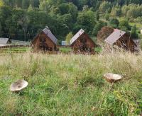 Príroda v okolí horskej chaty