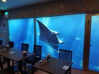 Fotografie z fotogalerie ubytování NAHA-WEST INN v destinaci Naha