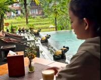 Menzel Ubud thumbnail 8