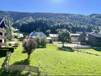 a field of grass with a tree in the middle at Winter Cocon in Mijoux