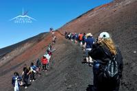 Hostia v ubytovaní Petite Maison dell'Etna