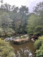 a river with rocks in the middle of a forest at Gîte les Pieds dans l&#39;eau bord de Sèvre, 10 min du Puy du Fo in Treize-Vents