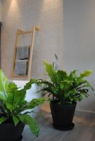 two potted plants sitting on a table next to a mirror at Les Suites Massena in Nice