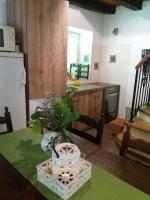 a kitchen with a table with a plant on it at Villa Malini in Grožnjan