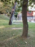 a hammock hanging from a tree in a yard at VILLA KB&#39;HOME in Le Touquet-Paris-Plage