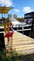 a flamingo standing on a dock next to a boat at PÉNICHE authentique tout confort in Aigues-Mortes