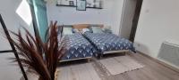 a bedroom with a bed with blue comforter and a plant at Meublé de tourisme &quot;Les brosses tillots&quot; in Mary