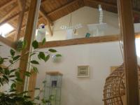 Půdorys ubytování Studio Glass Vysočina