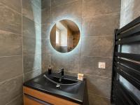 a bathroom with a sink and a mirror at Studio de la Poterie in Vermenton