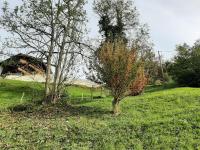 Vonkajšia záhrada v ubytovaní Mountain chalet
