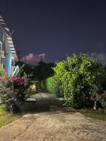 a driveway with bushes and a house at night at Appartement Coeur de Papillon in Baie-Mahault