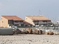a group of animals sitting in front of a marina at La grande bleue in Port Leucate